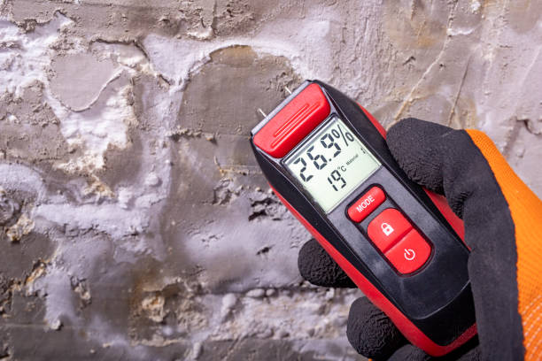 Best Local Mold Removal Service  in Tiffin, IA