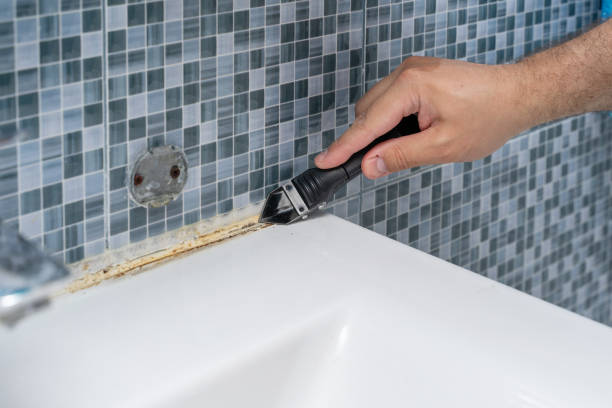 Best Mold Removal Company Near Me  in Tiffin, IA