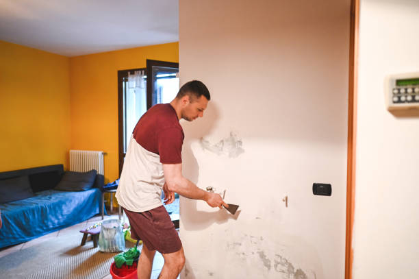 Best Attic Mold Removal  in Tiffin, IA